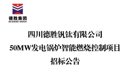 四川德胜钒钛有限公司50MW发电锅炉智能燃烧控制项目招标公告